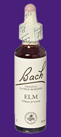 Bach Remedies Image